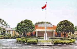 sungei-putih
