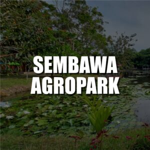 sembawa agropark web