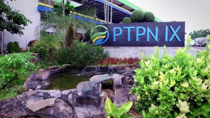 PTPN 1